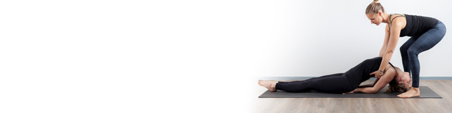 banner YANGLV2