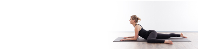 banner YIN2
