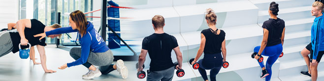 fitness level 2