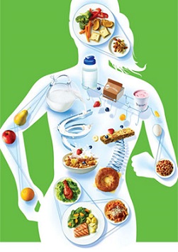 nutricions